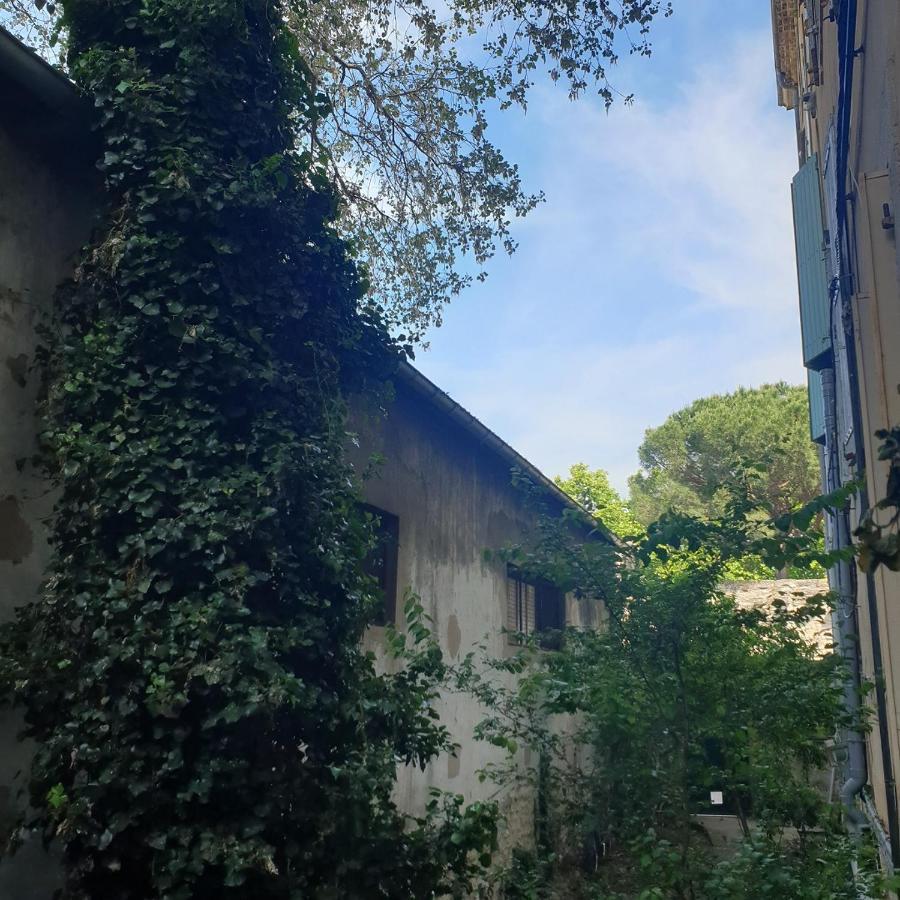 Appartement Intra Muros 8 Personnes Climatise Wifi Stationnement Facile Avignon Exteriér fotografie